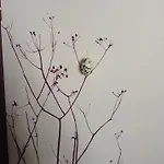 L'auberge Campagnarde 3*