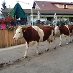 Hotel L'auberge Campagnarde