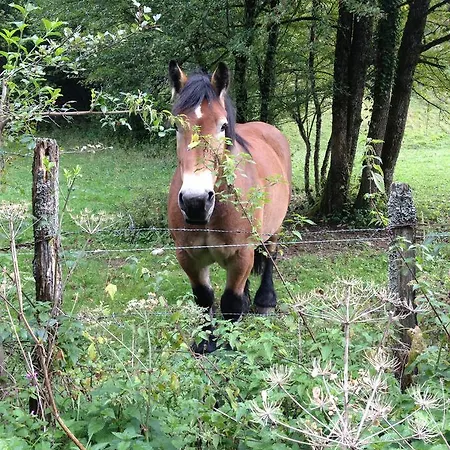 L'auberge Campagnarde 3* Evosges