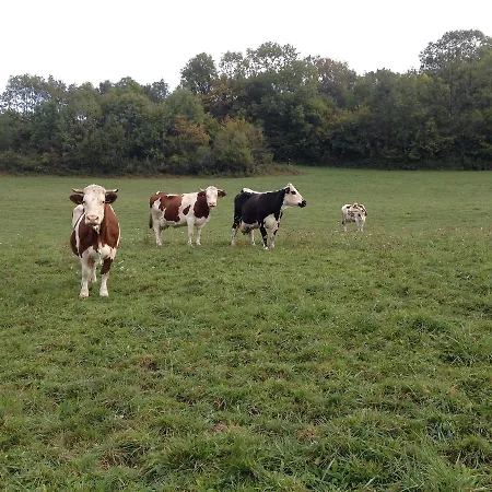Szálloda L'auberge Campagnarde Evosges